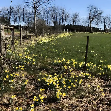 Zum Torfstecher Apartament
