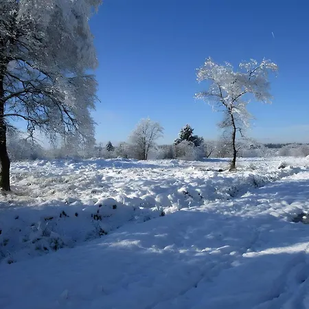 Apartment Zum Torfstecher Monschau
