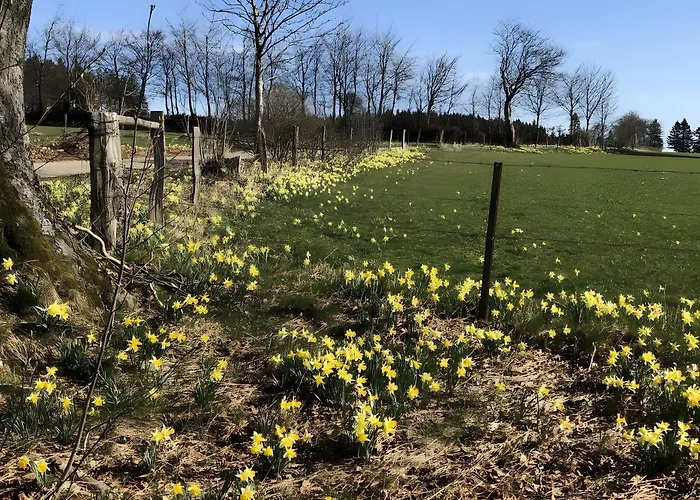 Zum Torfstecher 아파트