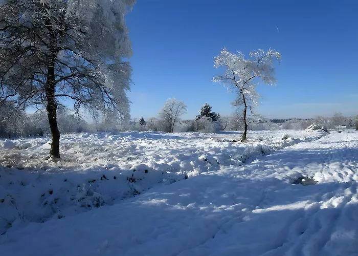 公寓 Zum Torfstecher 蒙绍