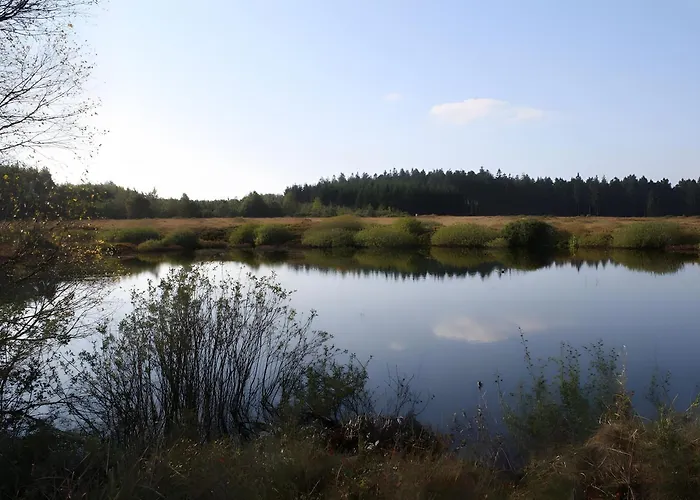 Zum Torfstecher 公寓 *