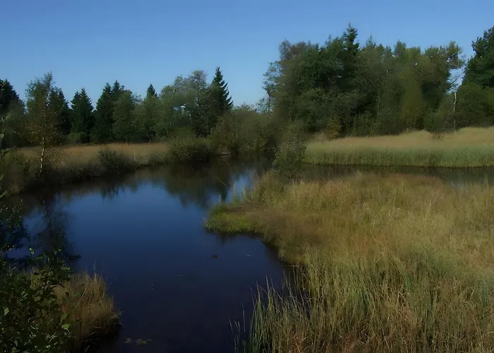 Zum Torfstecher 公寓 蒙绍